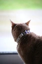 IMG_0416.webp
