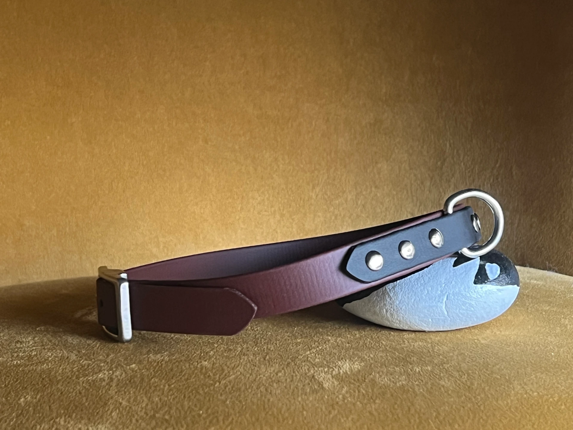 Collier Biothane bicolore